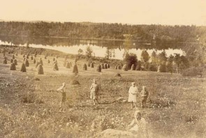 kotikontu