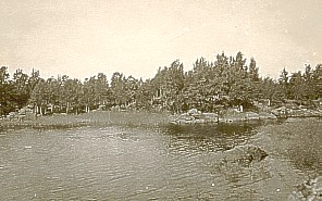 Saari